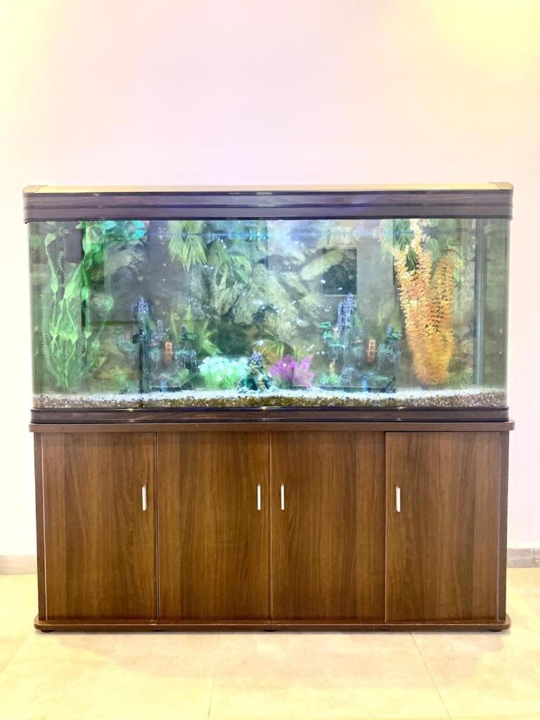 דקר Luxury Suites Chester One מראה חיצוני תמונה